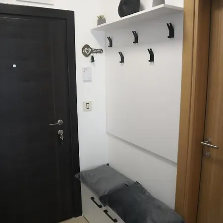 Holiday, Leonardo Vi