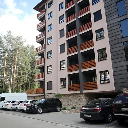 Holiday, Leonardo Vi *