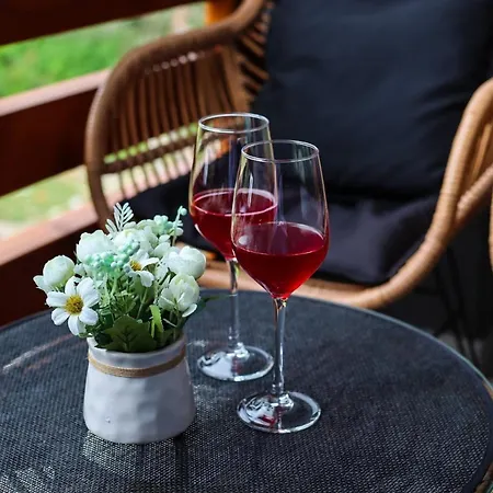 Holiday, Leonardo Vi *