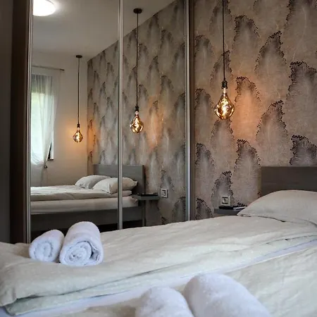 Holiday, Leonardo Vi