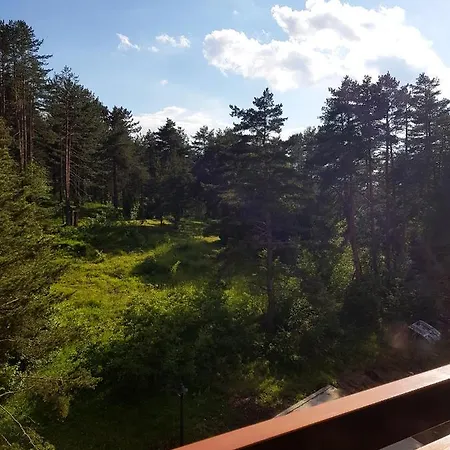 Holiday, Leonardo Vi