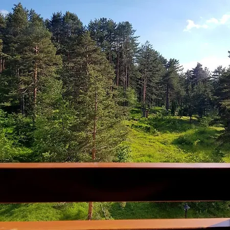 Holiday, Leonardo Vi