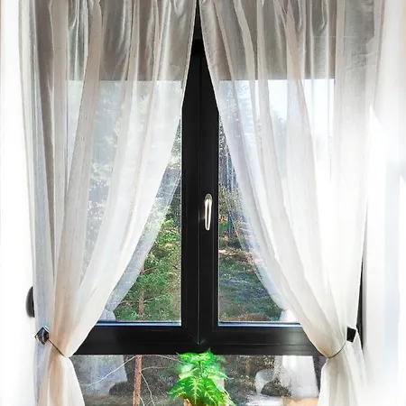 Holiday, Leonardo Vi