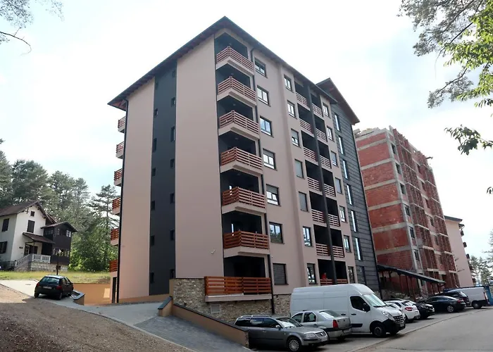 Holiday, Leonardo Vi *