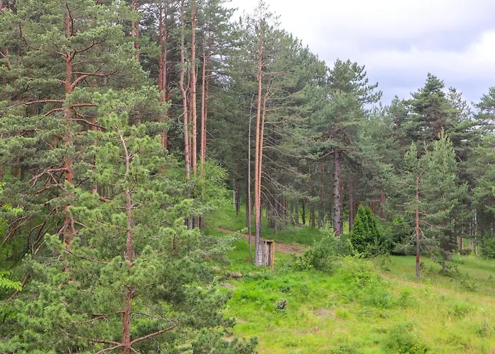 Holiday, Leonardo Vi Apartment Zlatibor