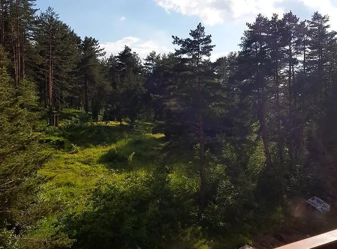 Holiday, Leonardo Vi