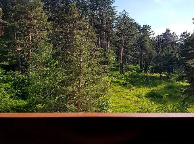 Holiday, Leonardo Vi