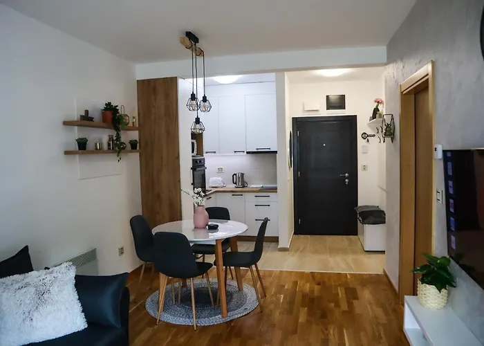 Holiday, Leonardo Vi *