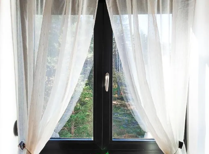 Holiday, Leonardo Vi